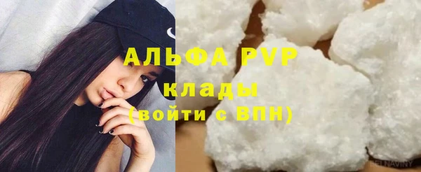 сатива Баксан
