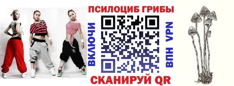 Псилоцибиновые грибы Cubensis  ссылка на мегу как зайти  Рудня 